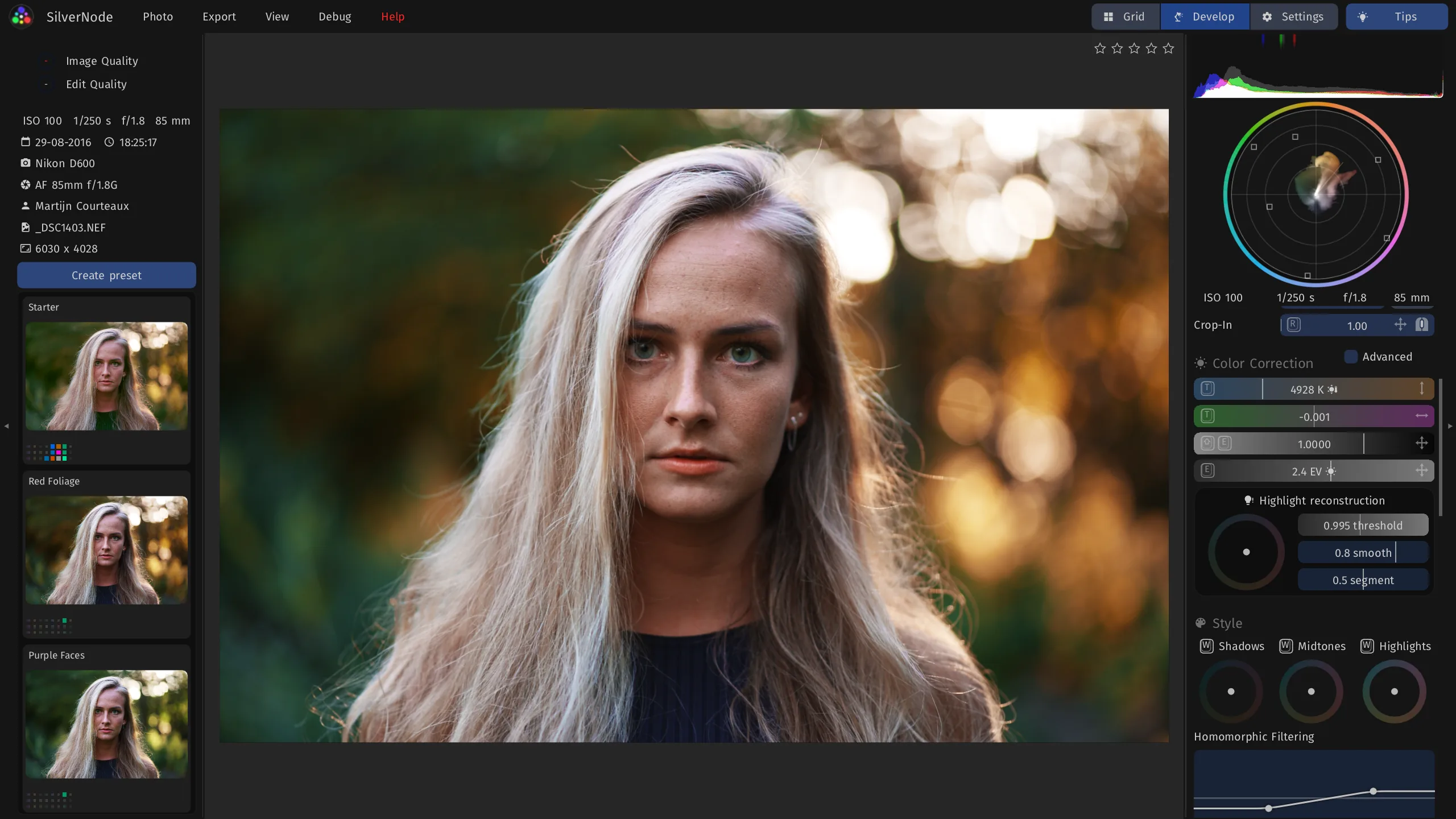 Developing a portrait of a woman with long blond hair against warm bokeh, with the color correction and style panels.