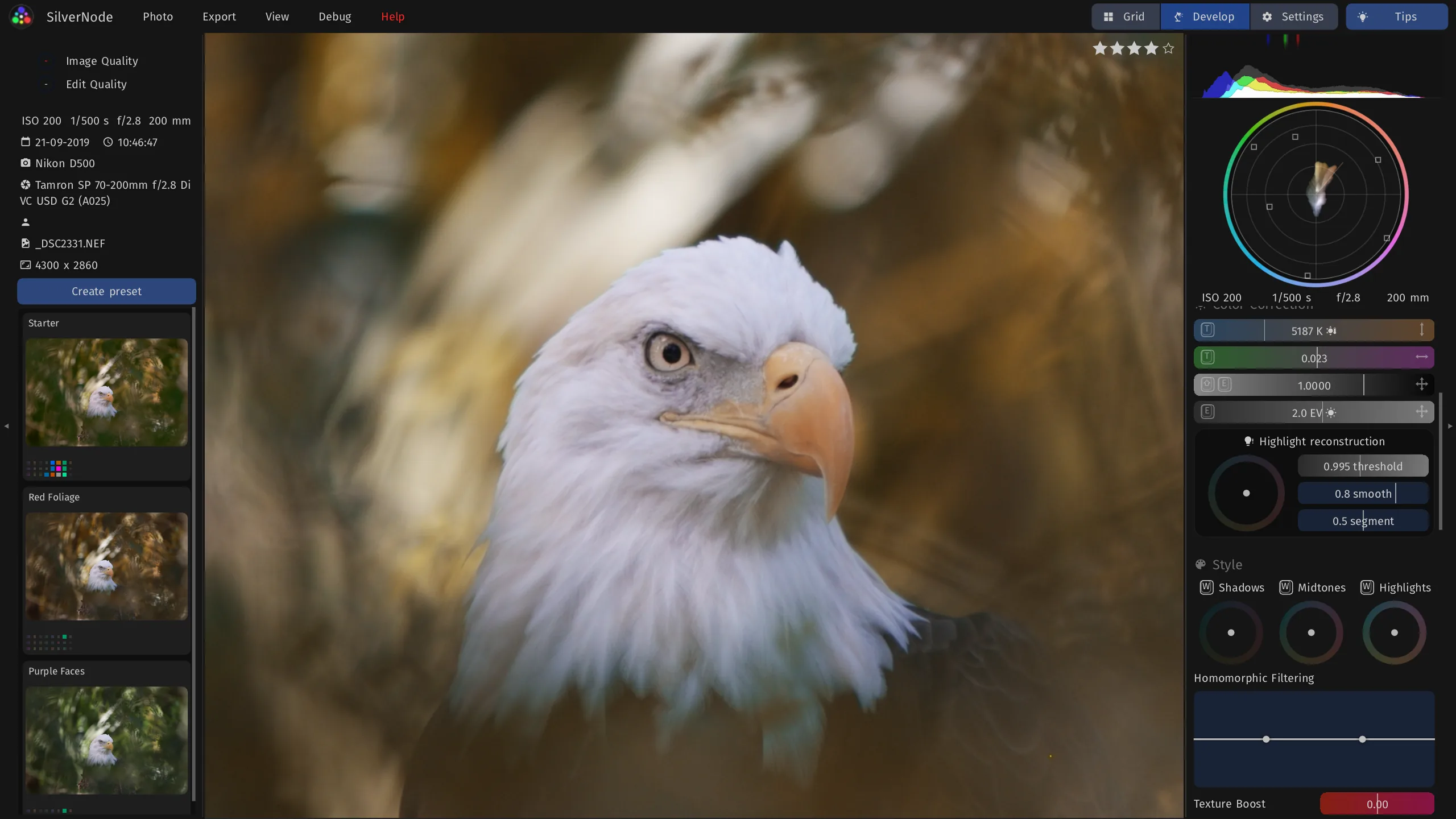 Zoomed in to 100% on the head of a bald eagle, with the highlight reconstruction and the style color wheels.
