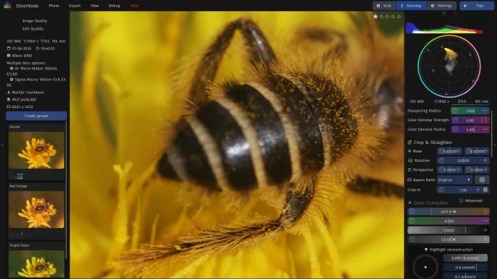 Zoomed in to 100% on a bee in a yellow dandelion, with the crop and color correction panels.