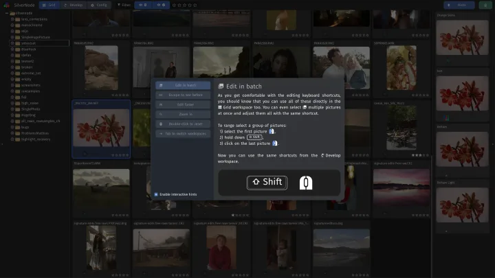 The grid of photos with a tip on editing in batch: select a range with Shift and edit them all at once.